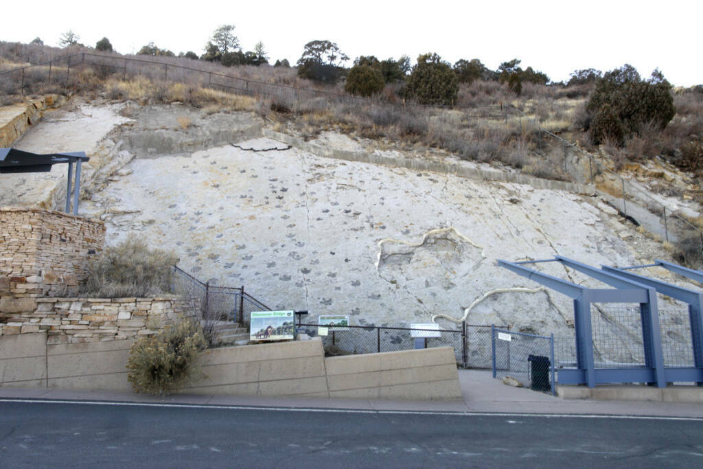 Bendricks Rocks in this photo taken dec 22 2010 ornithopod and theropod dinosaur tracks ...